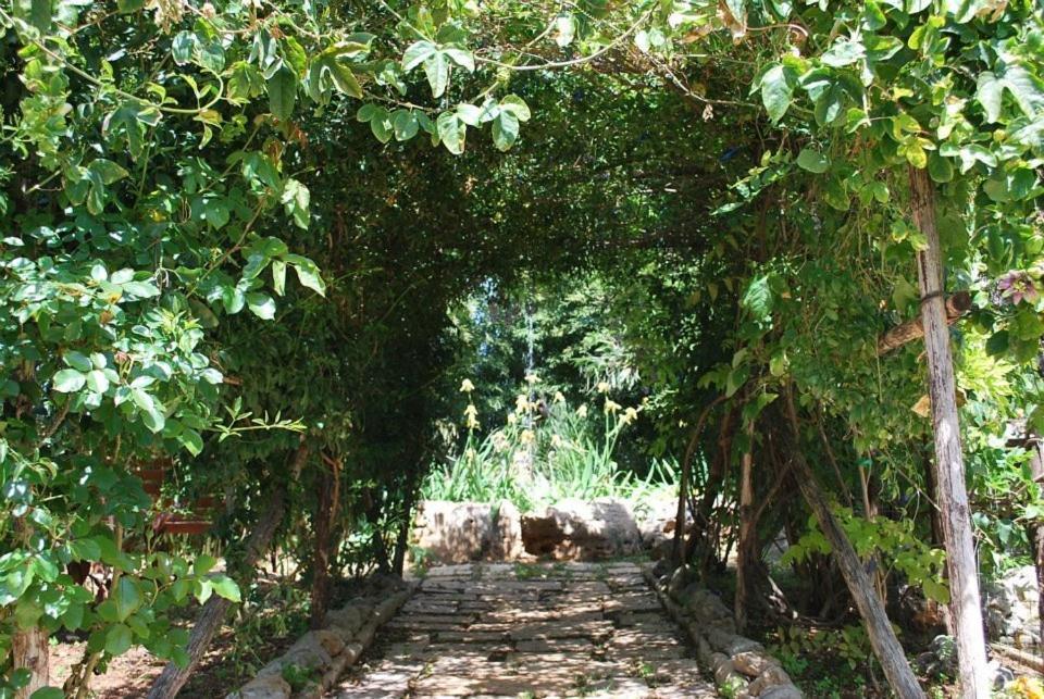 Dal Canonico Mola di Bari Esterno foto